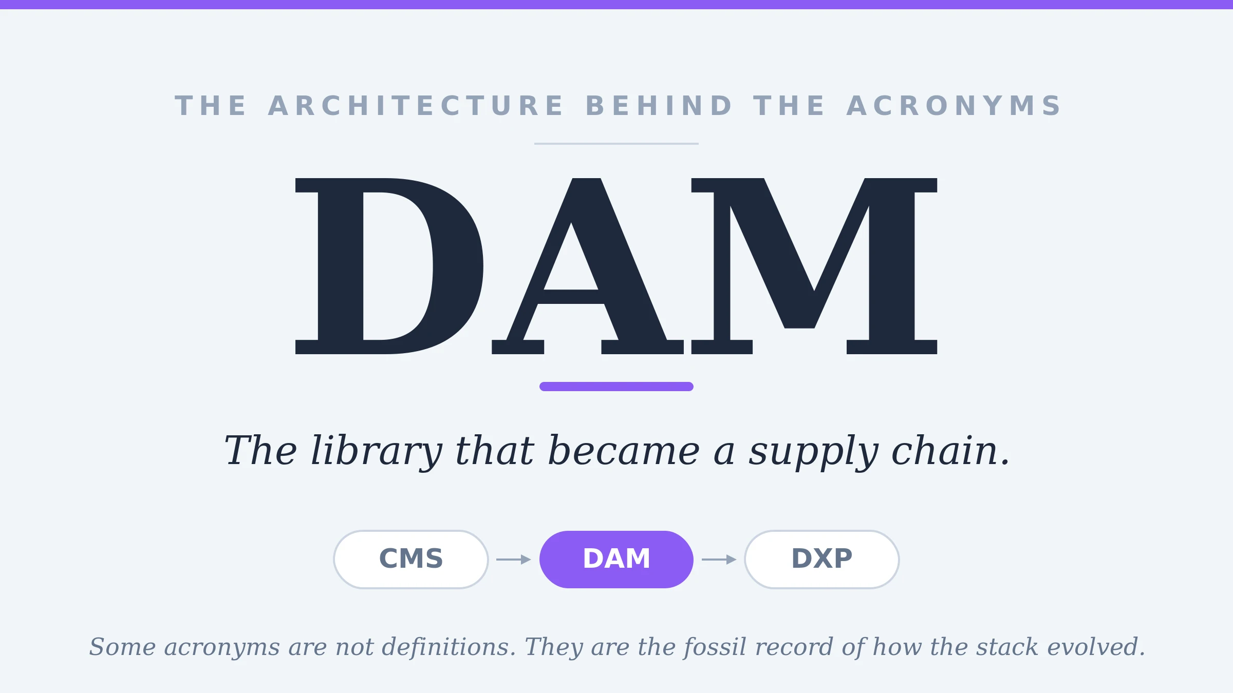 L'architettura dietro gli acronimi (DAM): la biblioteca che è diventata una supply chain